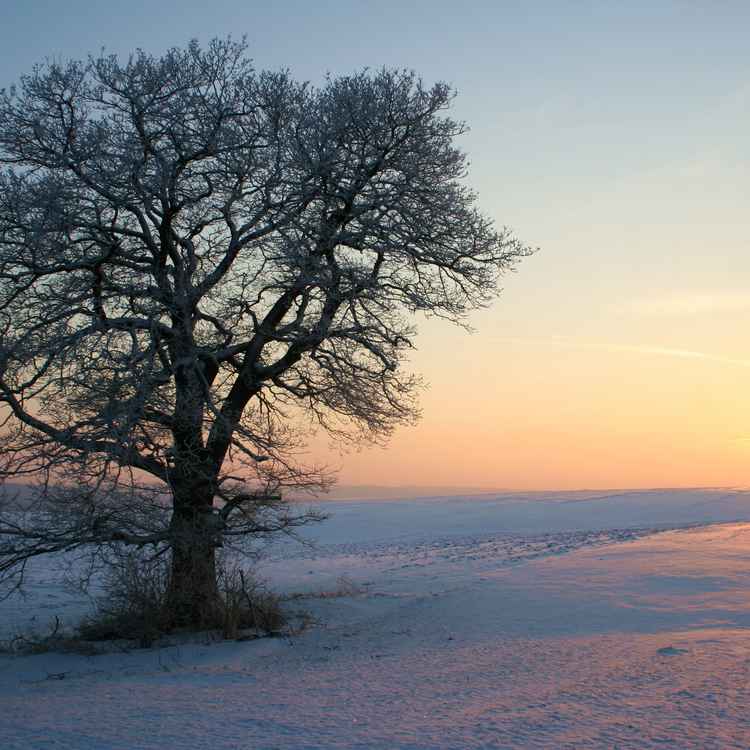 Wintersonne oder minus 11 Grad