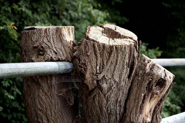 Holz und Metall