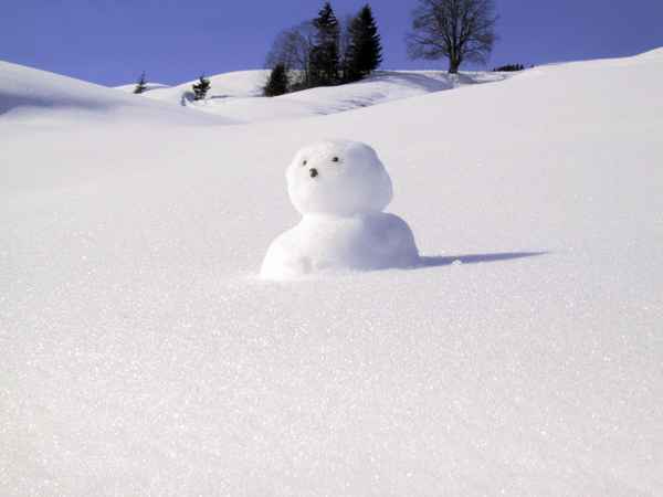 Snowman