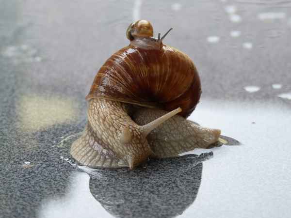 Gut drauf im Frühling 2013