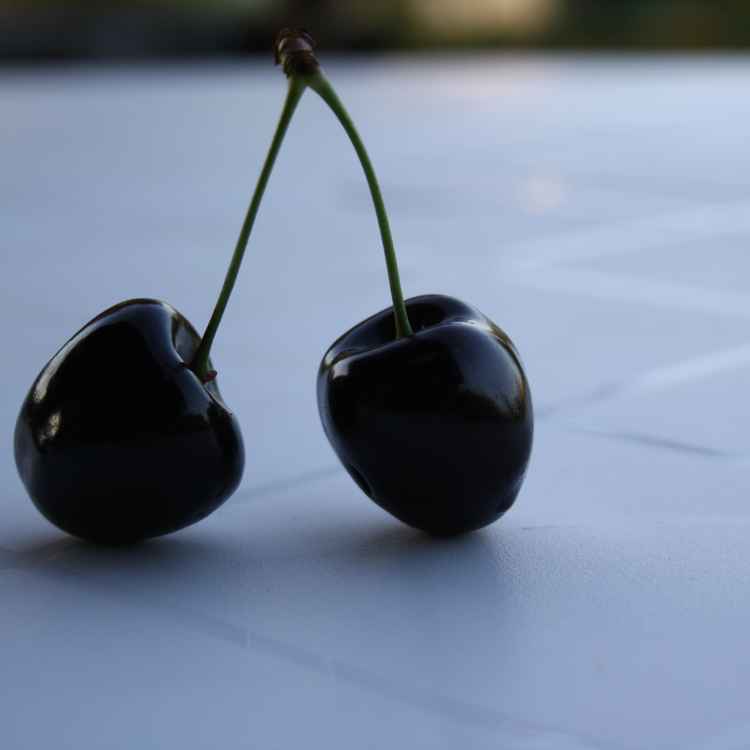 schwarzes Süsskirschen #3