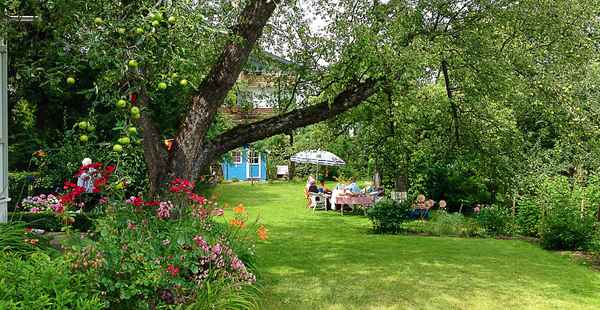 Garten-Idylle im Sommer