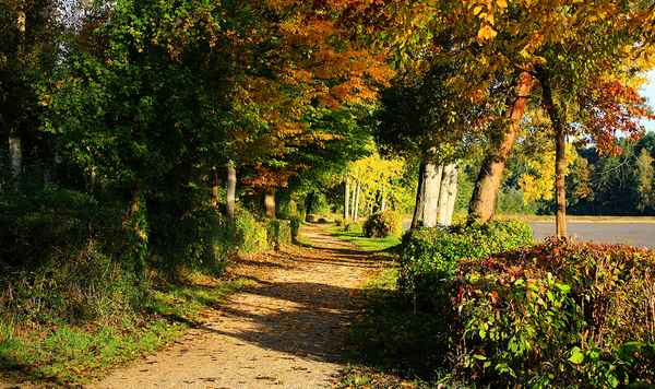 Oktobermorgen