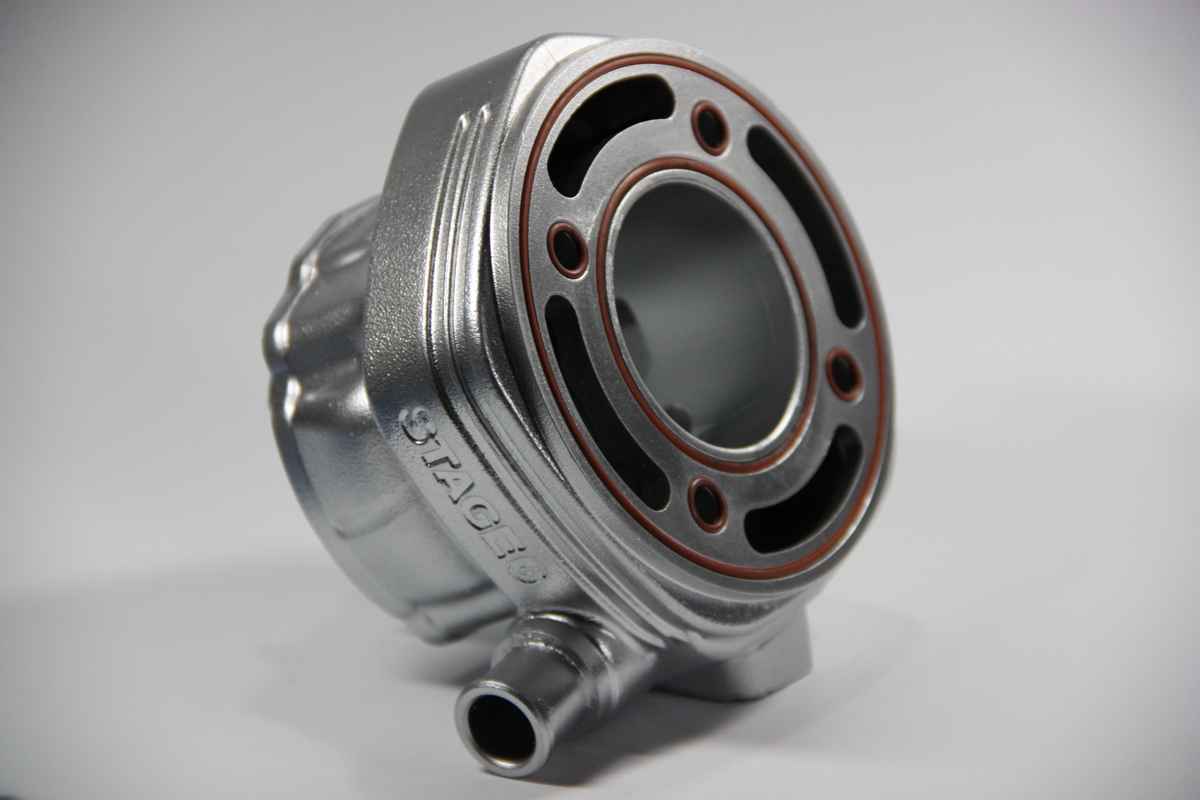 Yamaha Aerox zylinder