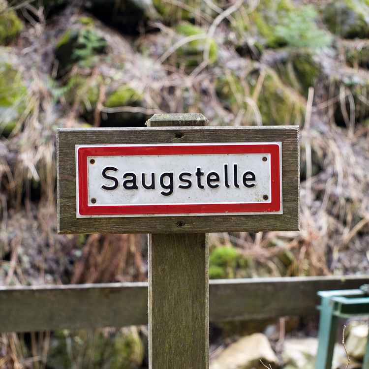 Saugstelle