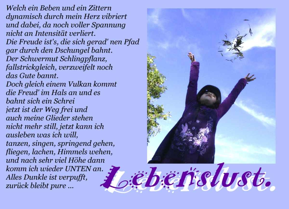 Ode an die Freude