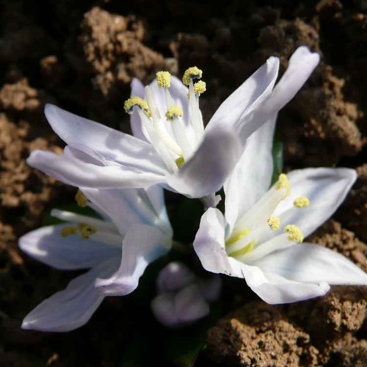 erste Spuren des Sommers
