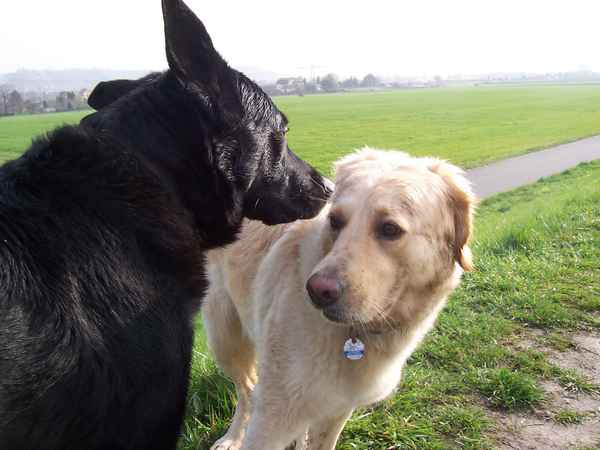 Hast´n für ein Parfüm?