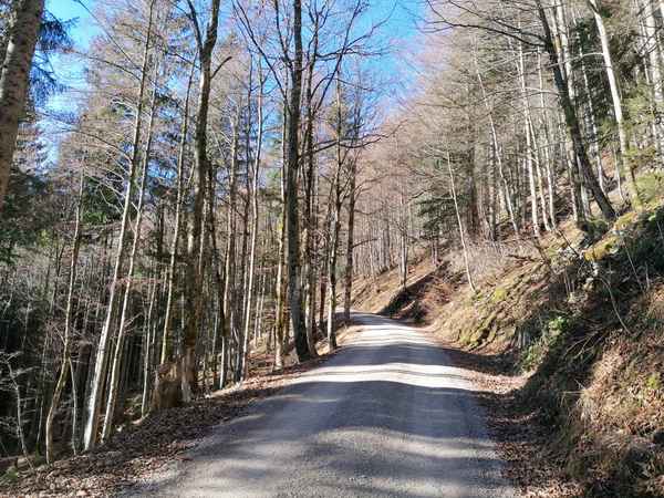 Novemberwanderung