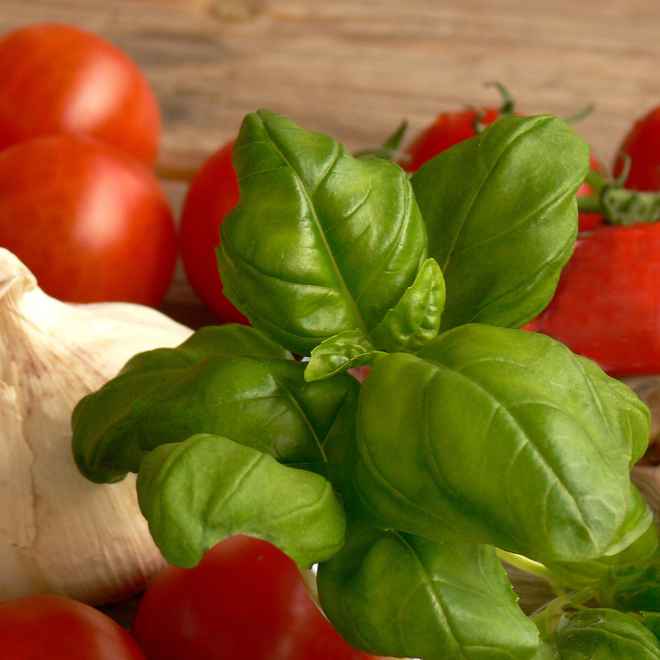 Italia (nur redaktionelle Nutzung)