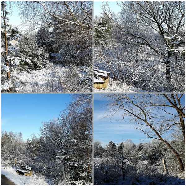 Schneebedeckt - Collage