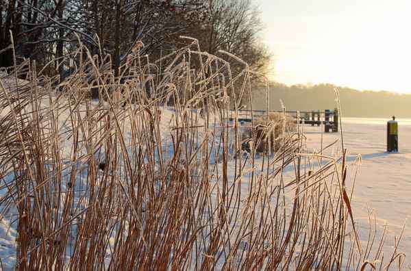 Winter am See 3