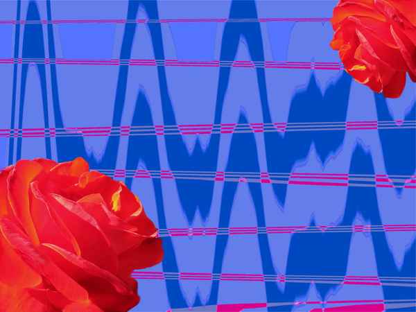 Pech an der Börse - Glück in der Liebe?