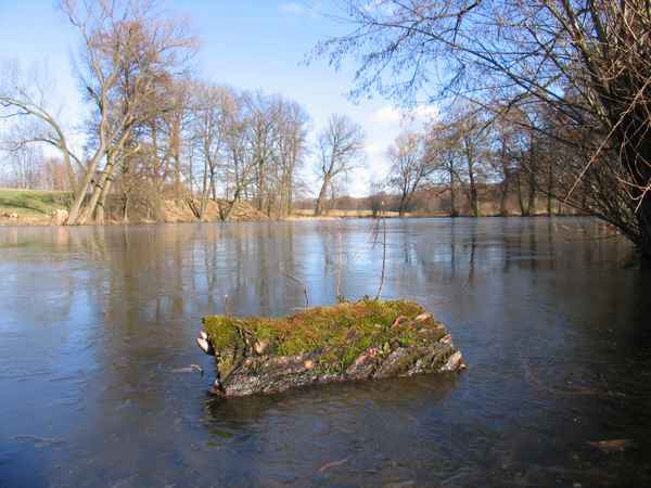 der Schwemmteich von Geringswalde