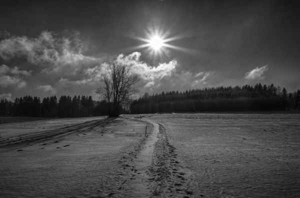 Winterlandschaft