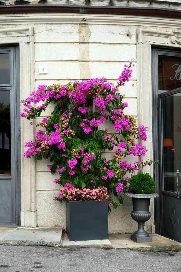 farbiger Altstadt-Tupfer