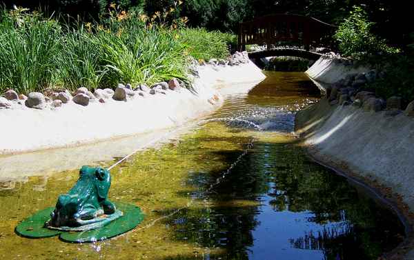 Wasserspeiender Frosch