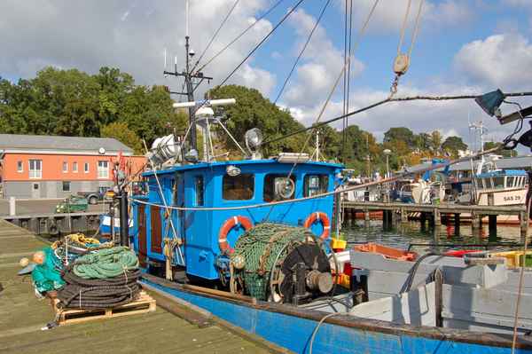 Fischerboot im Fischereihafen von Sassnitz auf Rügen