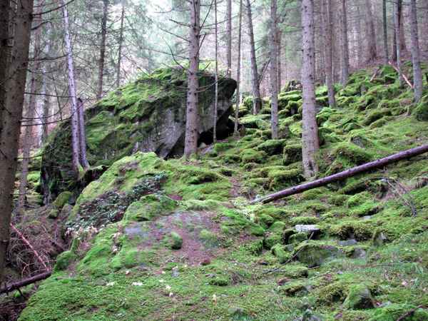 Bergwelt in Südtirol