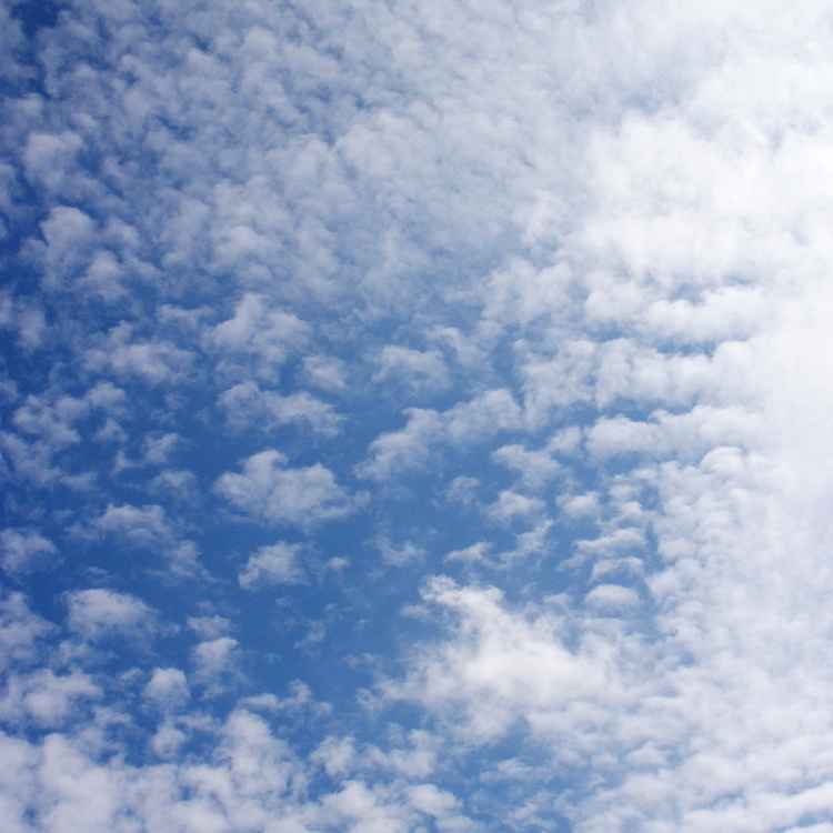 Schäfchenhimmel 1/2