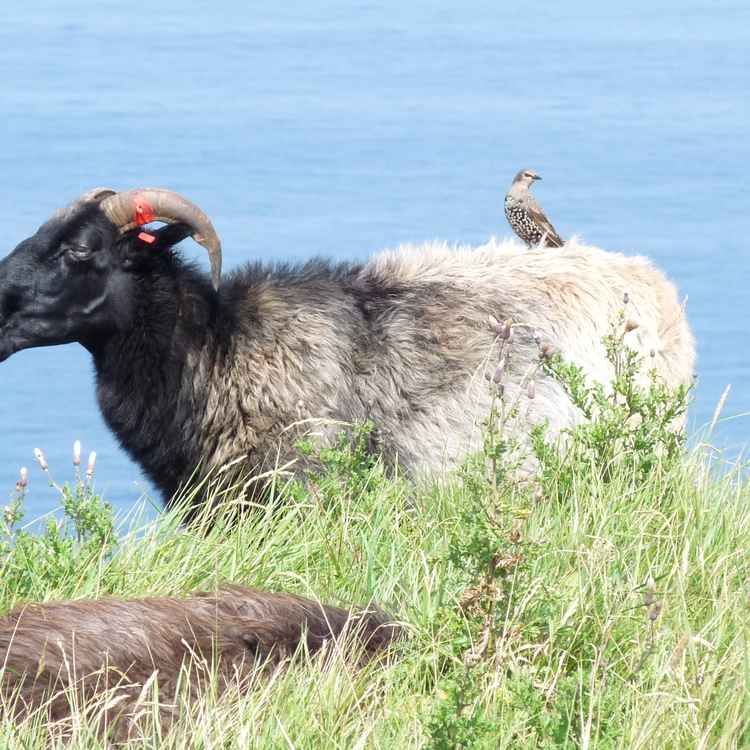 Gespräch zwischen zwei Freunden