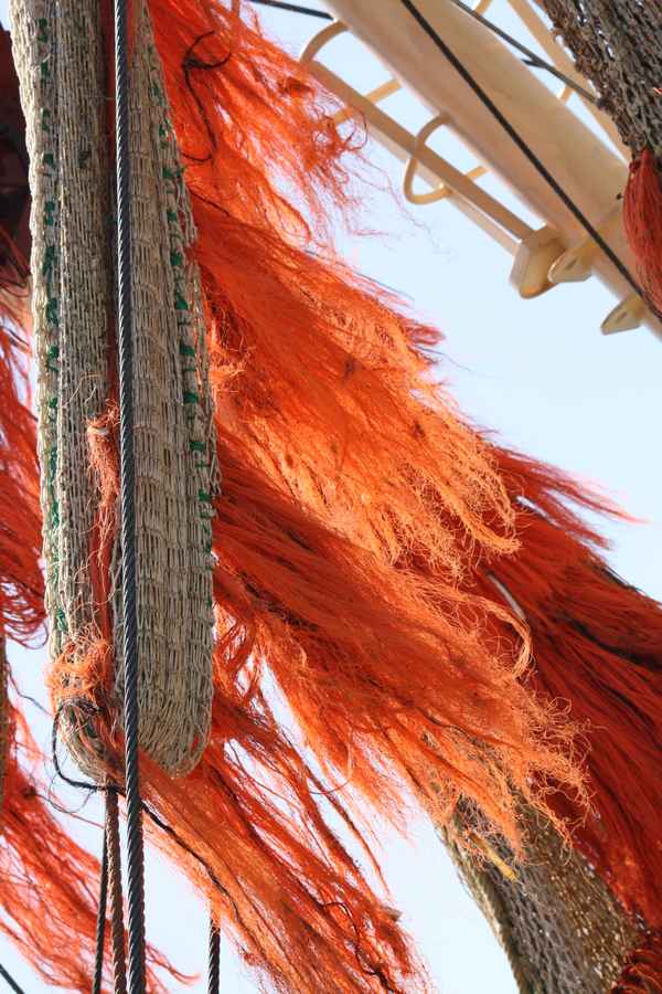 Schiffstaue im Wind