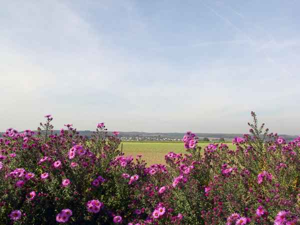 Fernsicht im Oktober