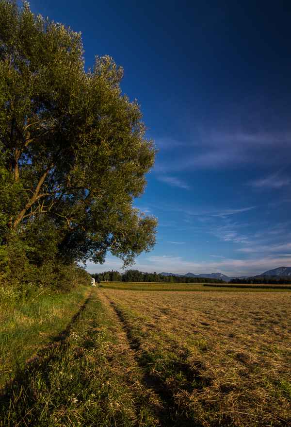Weites Feld