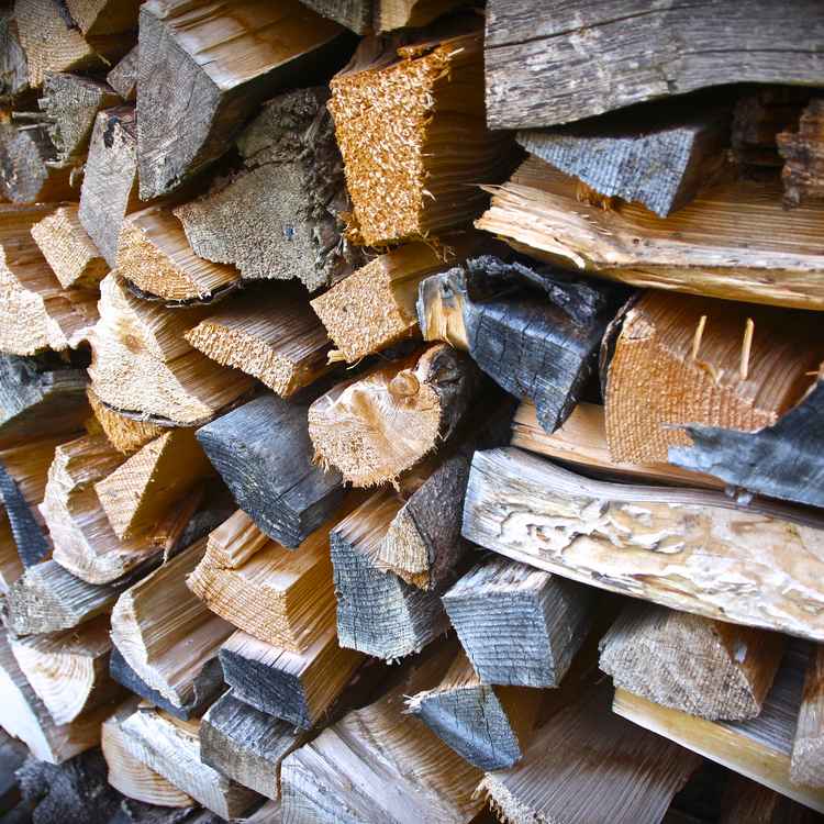Holz