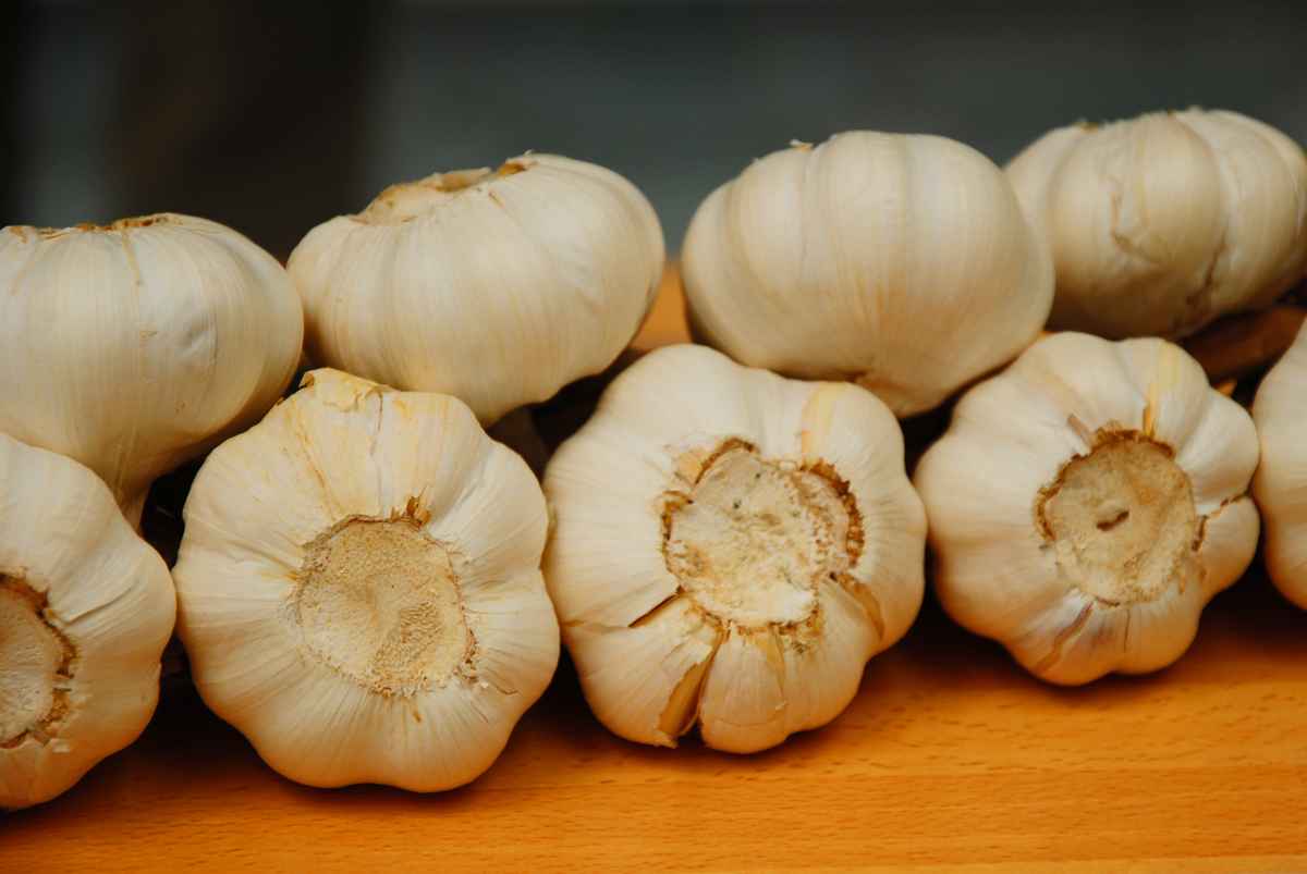 Knoblauch