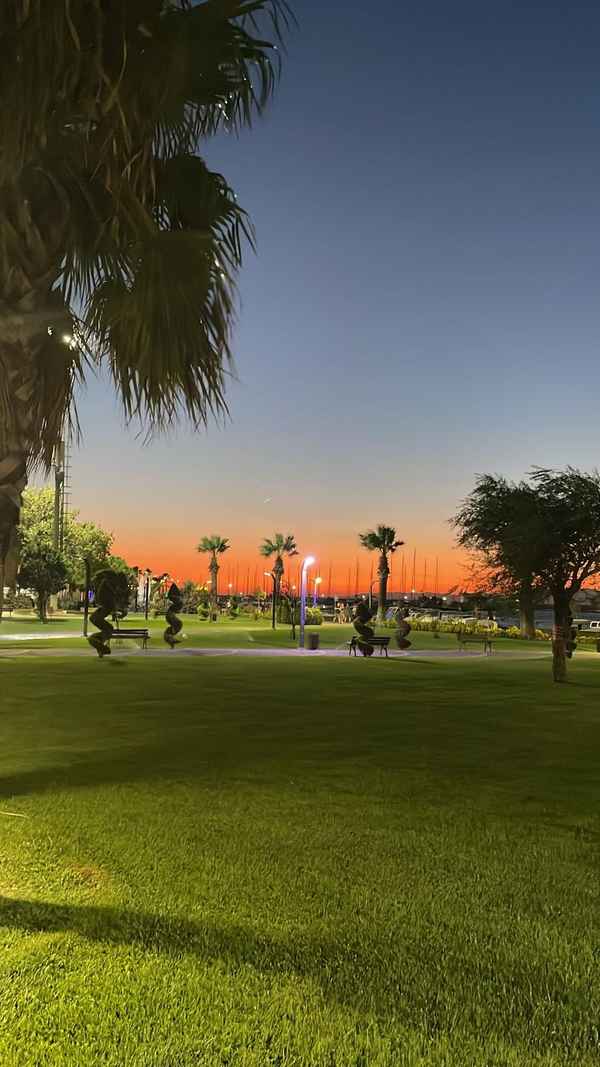 Parkanlage mit Palmen bei Sonnenuntergang