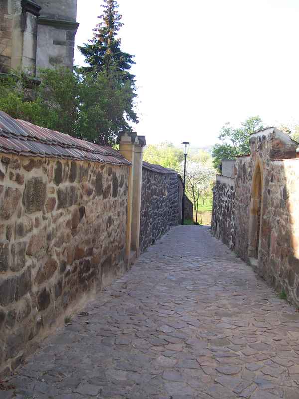 Der Weg in den Frühling....