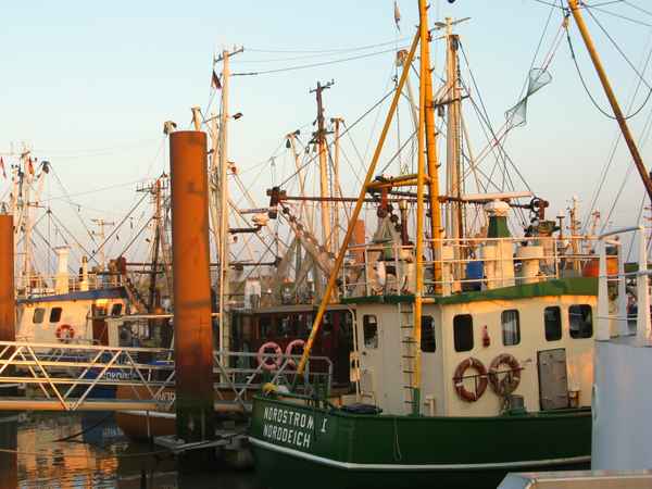 Norddeich Fischkutter im Hafen