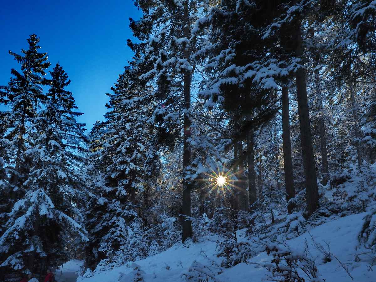 winterstimmung