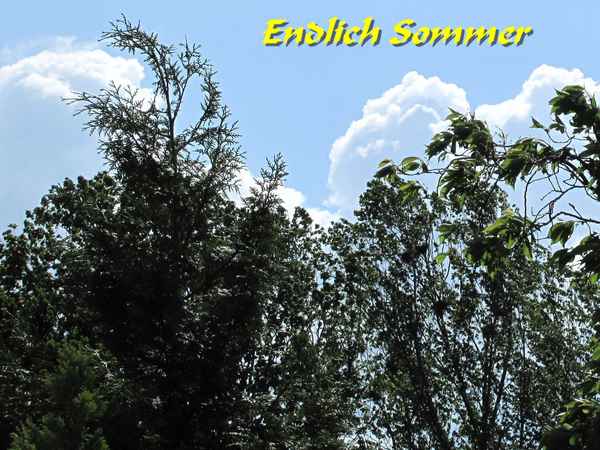 Endlich Sommer