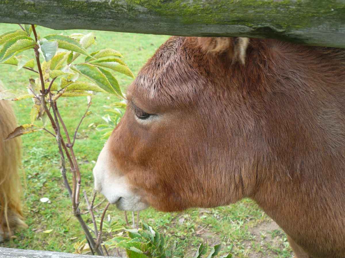 Komm, erzähl mir was, mir ist langweilig....
