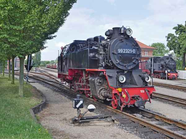 Der Molli