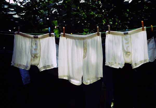 3 tote Unterhosen