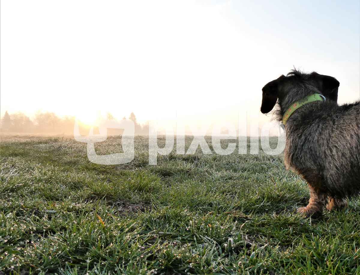 Der Sonne entgegen...