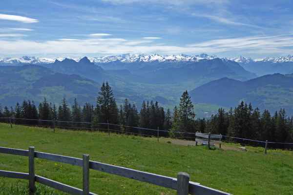 Die Urner Alpen im Blickfeld