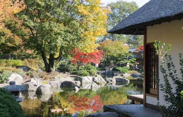 im japanischen Garten