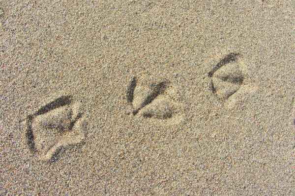 Spuren hinterlassen...