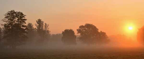 Morgenpanorama