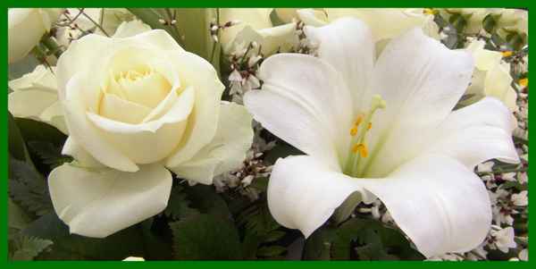 Liebe in Weiss