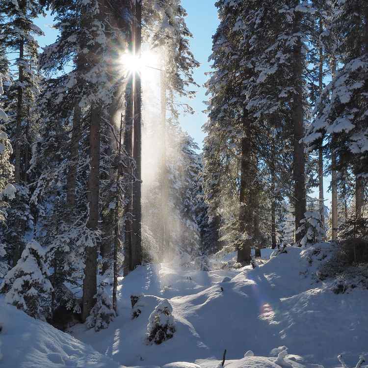 winterstimmung