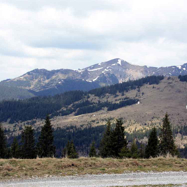 Das Maramuresgebirge