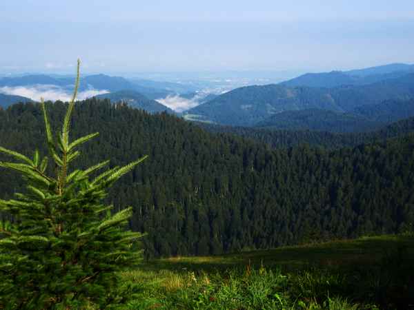 Blick in die Rheinebene am Morgen
