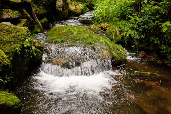 Kinzig im Schwarzwald_2