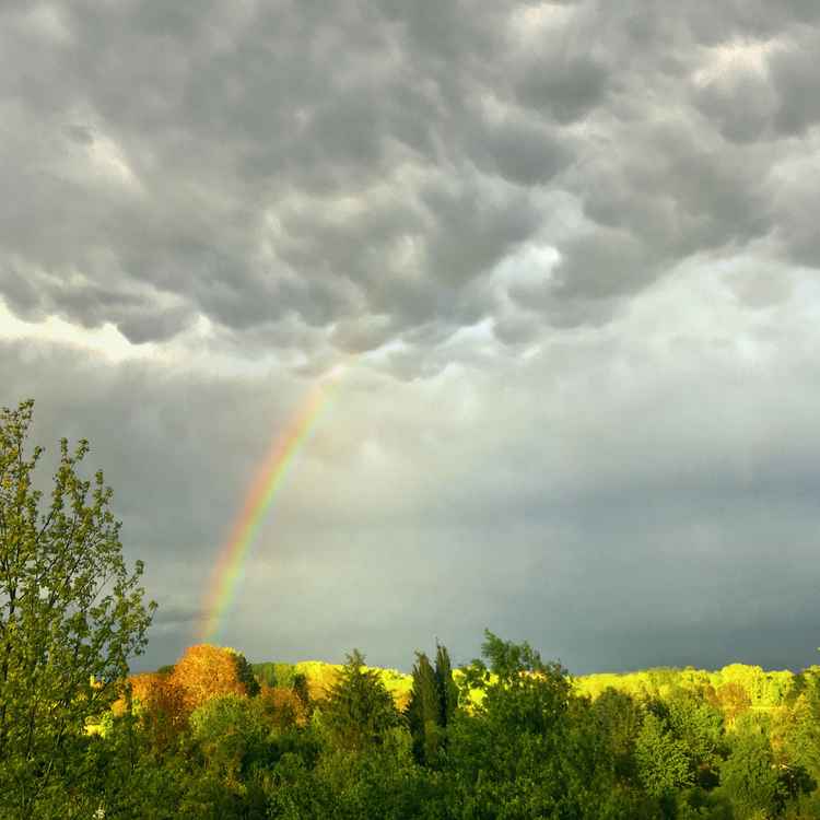 Regenbogen