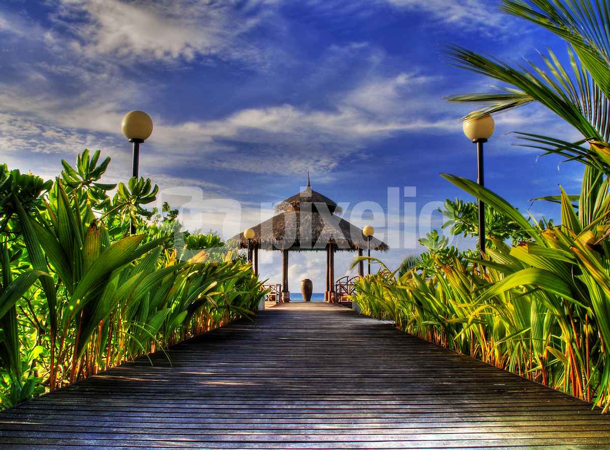 Welcome to Paradise